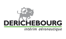 DERICHEBOURG INTERIM AERONAUTIQUE